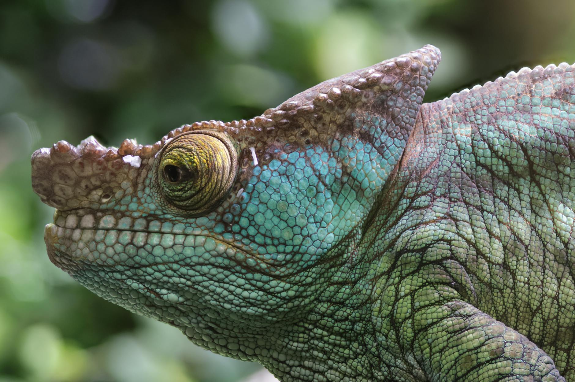 7-Day Madagascar Nature Itinerary: Parks, Lemurs and Rainforests 2026 — Madagascar