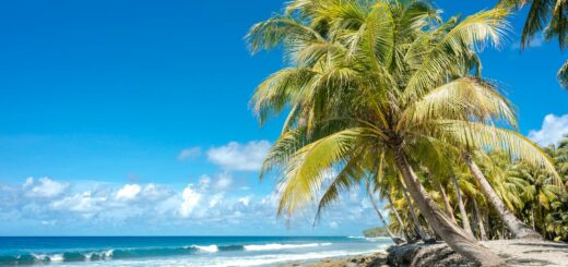Madagascar - 7-Day Nosy Be Itinerary: Islands, Diving and Local Life 2026