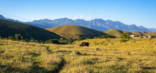 Madagascar - Antananarivo to Fort Dauphin: Every Way to Get There Compared 2026