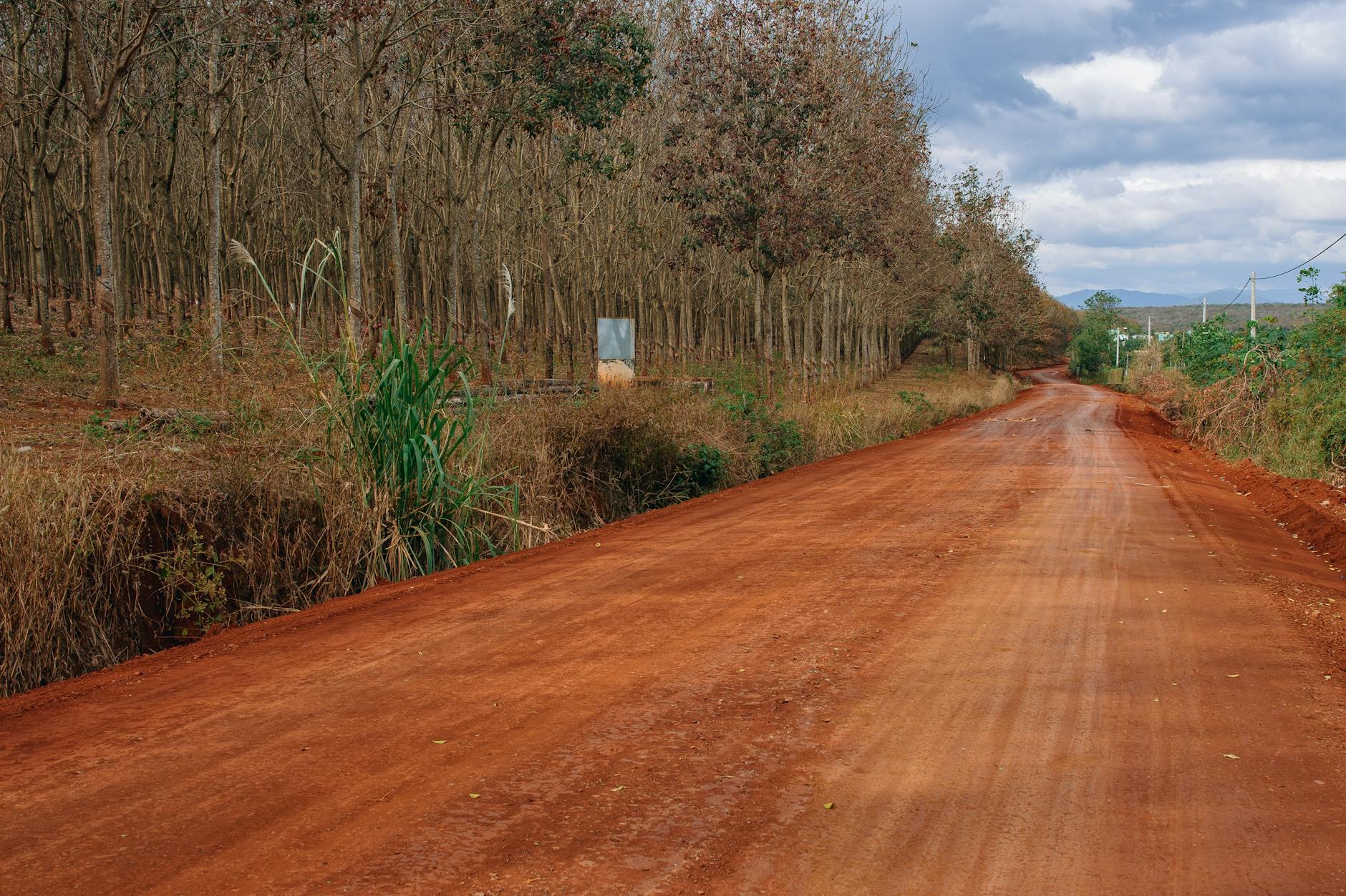 Avoiding Breakdowns on Madagascar Roads: Car Safety and Prep Guide — Madagascar