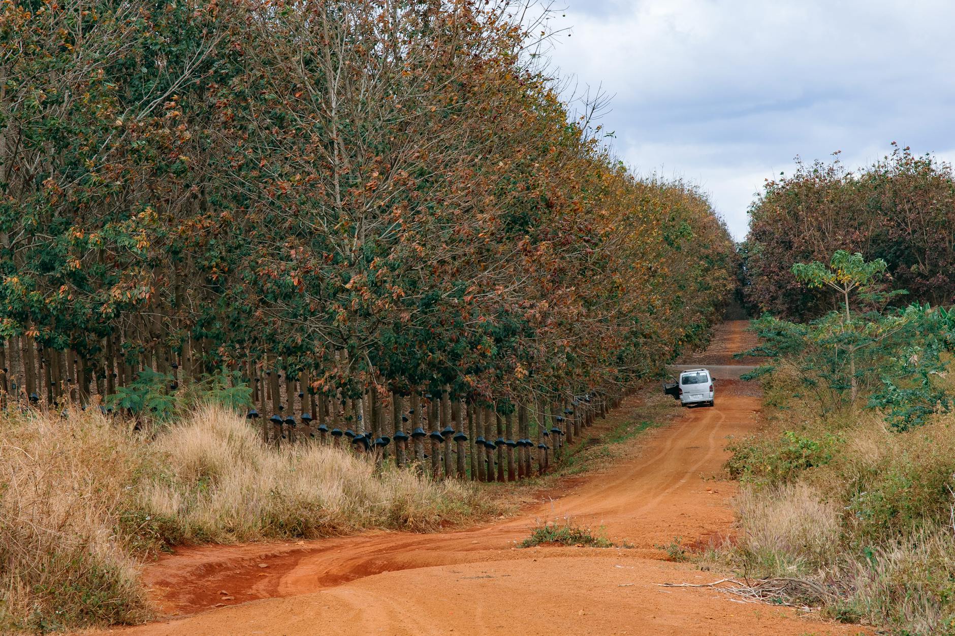 Best and Worst Roads in Madagascar: Regions Ranked by Drivability 2026 — Madagascar