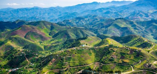 Madagascar - Best Dive Operators in Madagascar: Ranked by Site Access 2026