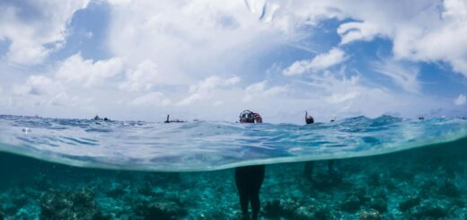 Madagascar - Best Dive Sites in Nosy Be: Complete 2026 Scuba Guide