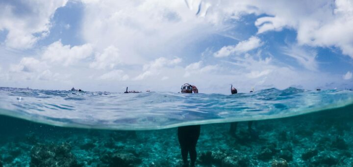 Madagascar - Best Dive Sites in Nosy Be: Complete 2026 Scuba Guide