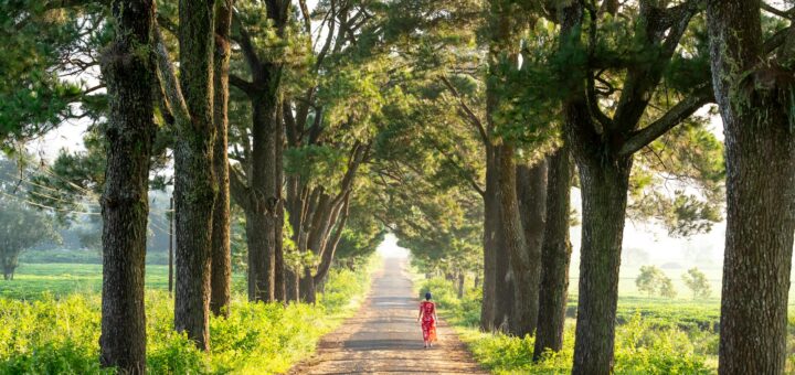 Madagascar - Best Travel Planning Apps for Madagascar: Booking, Navigation and Safety