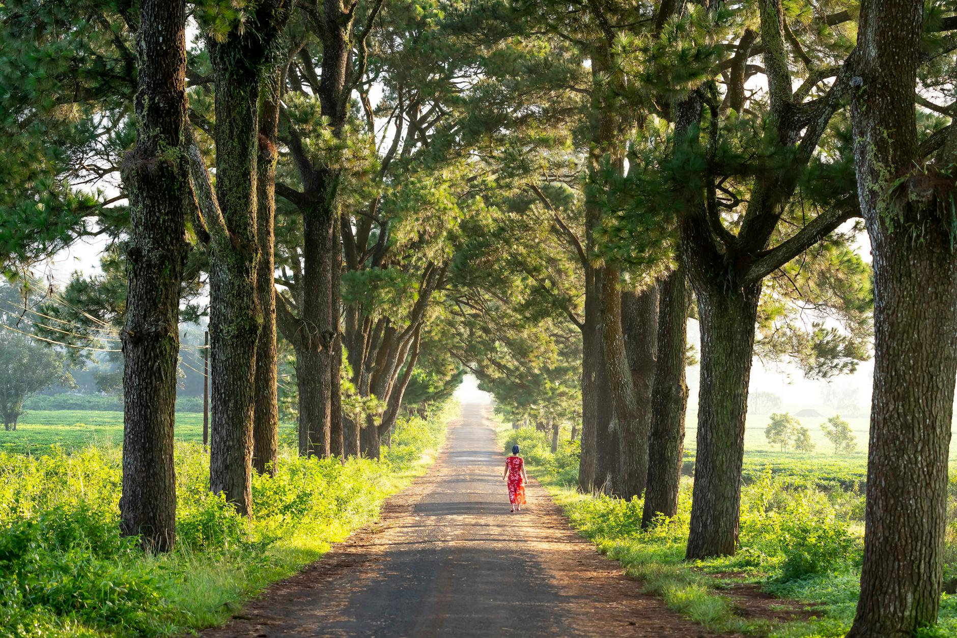 Best Travel Planning Apps for Madagascar: Booking, Navigation and Safety — Madagascar