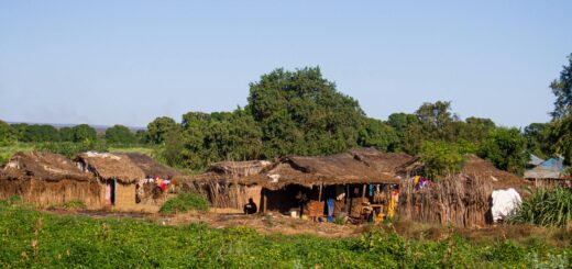 Madagascar - Budget Madagascar vs Luxury Madagascar: Full Experience Comparison