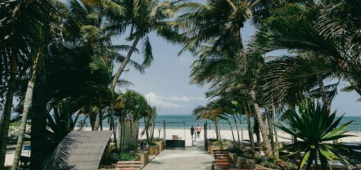 Madagascar - Cheap Hotels in Diego Suarez: Best Stays Under $30/Night 2026