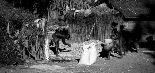 Madagascar - Community-Based Tourism Madagascar: How Visits Fund Conservation