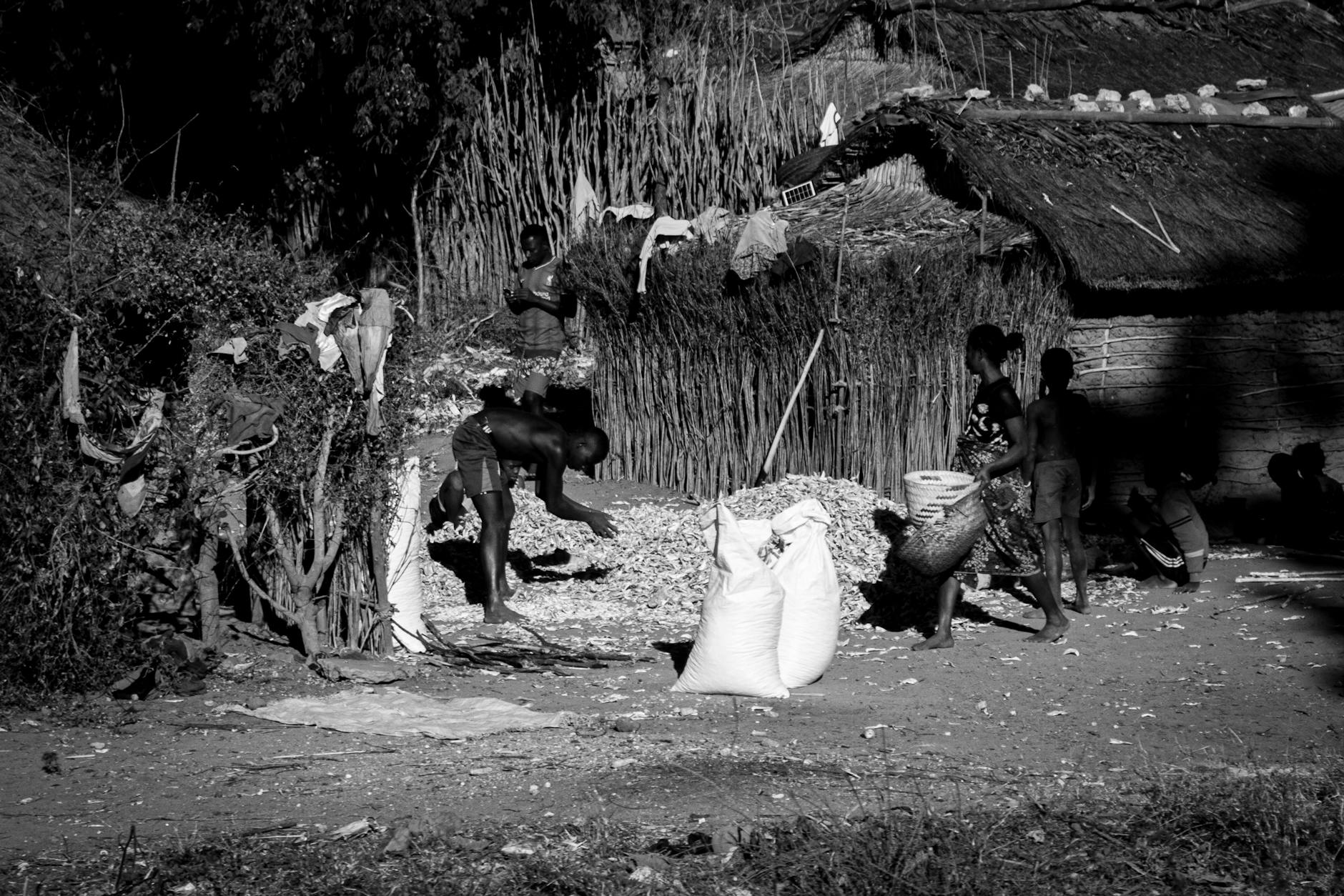 Community-Based Tourism Madagascar: How Visits Fund Conservation — Madagascar