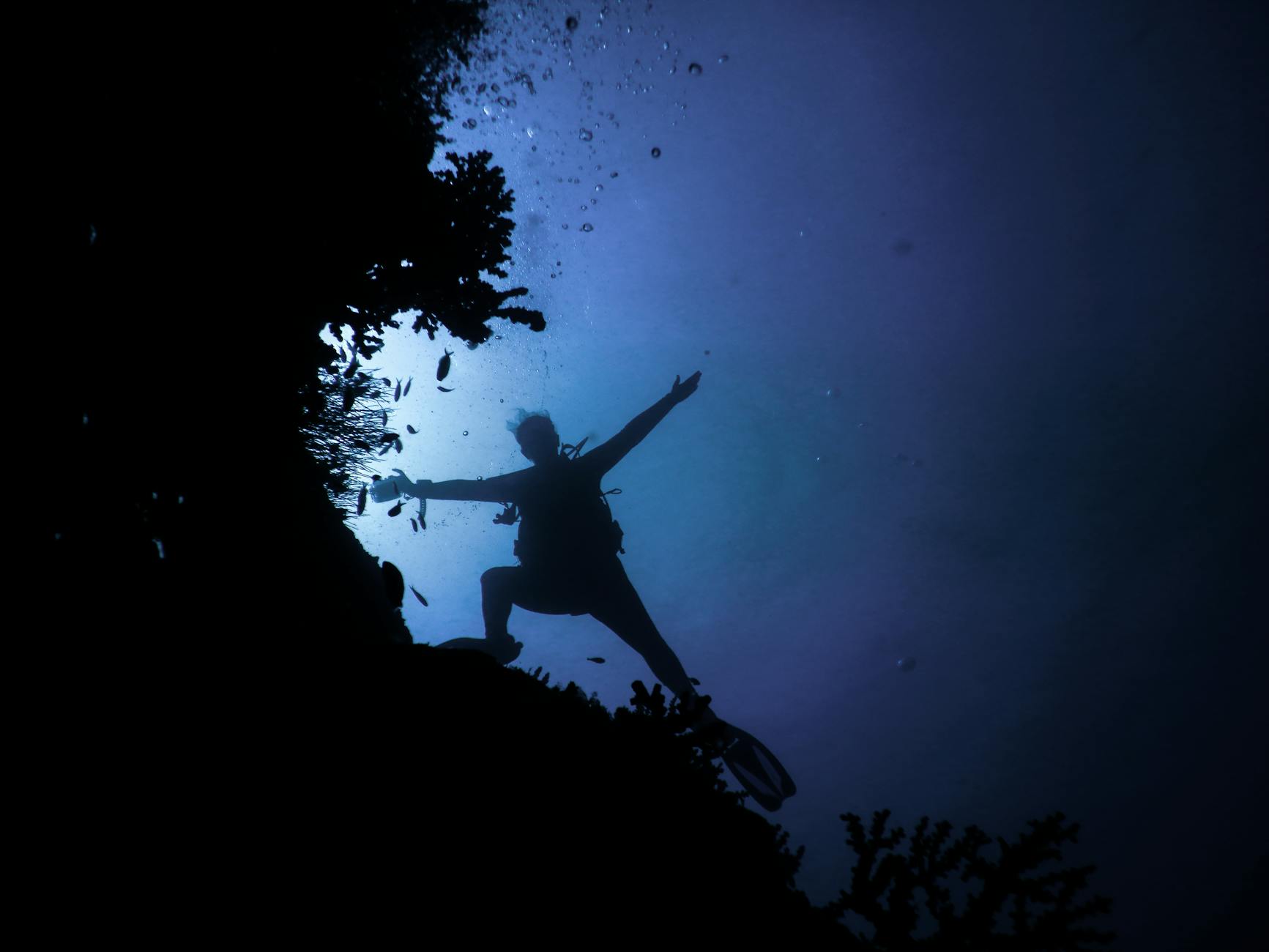 Working at a Dive Center in Madagascar: Instructor Jobs and Pay 2026 — Madagascar