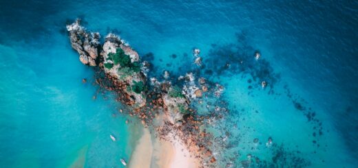 Madagascar - Diving in Madagascar: Best Sites, Season and What to Expect 2026