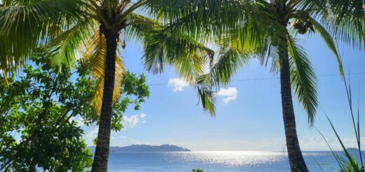 Madagascar - Diving Itinerary Madagascar: 10 Days Underwater in the Best Sites