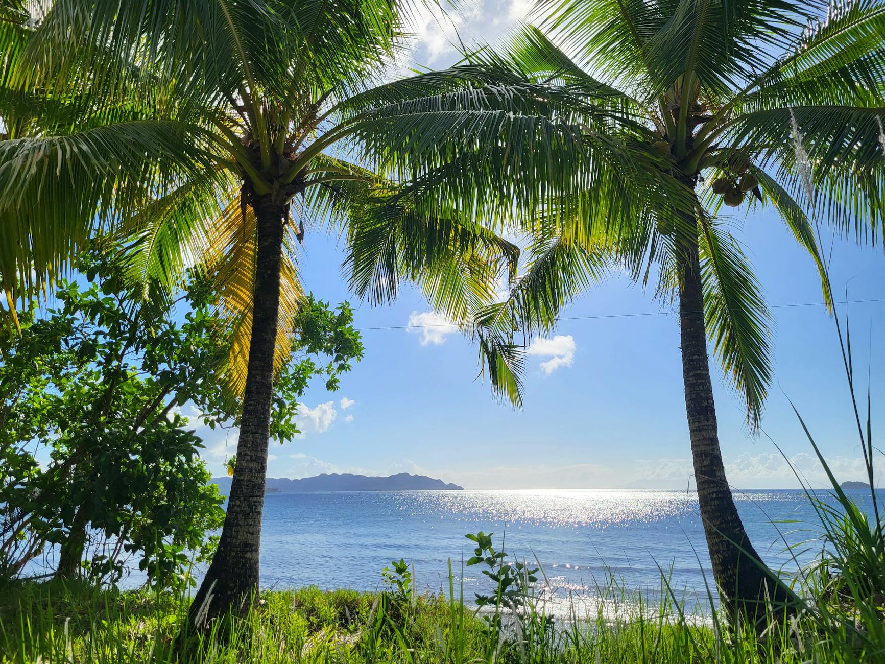 Diving Itinerary Madagascar: 10 Days Underwater in the Best Sites — Madagascar