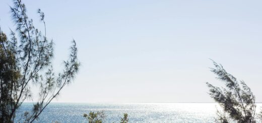 Madagascar - Diving Medical Insurance Madagascar: What Divers Need Beyond Standard Cover