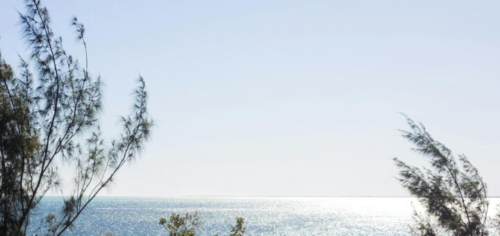 Madagascar - Diving Medical Insurance Madagascar: What Divers Need Beyond Standard Cover