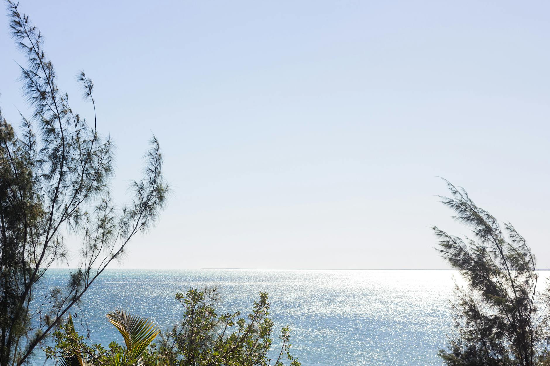 Diving Medical Insurance Madagascar: What Divers Need Beyond Standard Cover — Madagascar