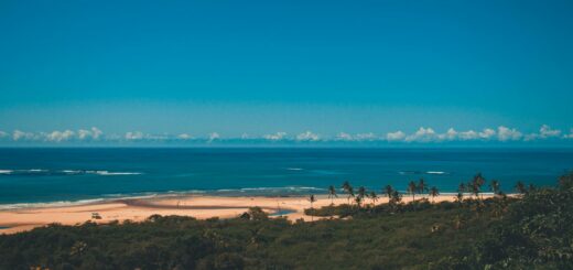 Madagascar - Diving with Whale Sharks Madagascar: Season, Sites and Booking