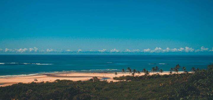 Madagascar - Diving with Whale Sharks Madagascar: Season, Sites and Booking