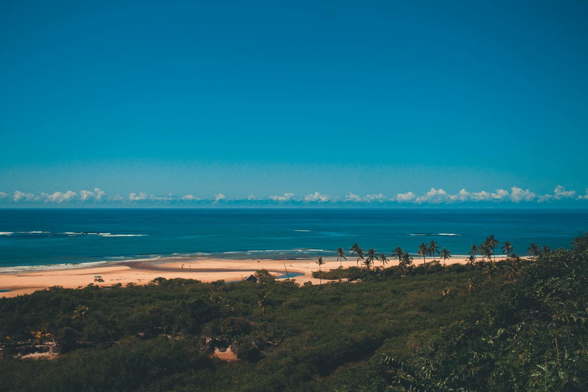 Diving with Whale Sharks Madagascar: Season, Sites and Booking — Madagascar