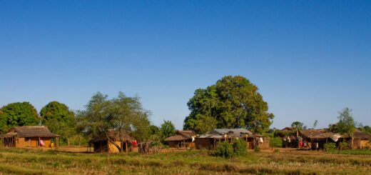 Madagascar - Fianarantsoa Wine: Madagascar's Unexpected Wine Country Guide 2026