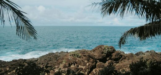 Madagascar - Freediving in Madagascar: Best Spots for Breath-Hold Diving 2026