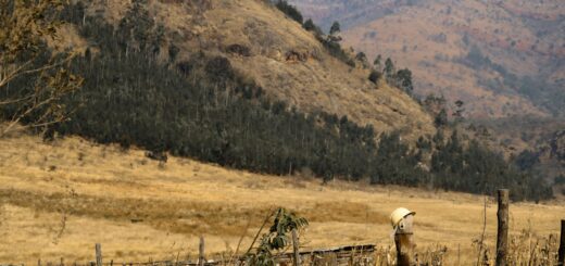 Madagascar - Google Maps in Madagascar: Where It Works and Where It Fails 2026