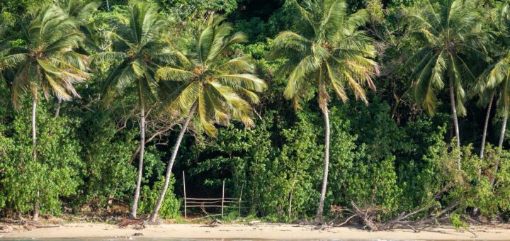 Madagascar - Hotels with Private Beach in Madagascar: Full Ranked Guide 2026