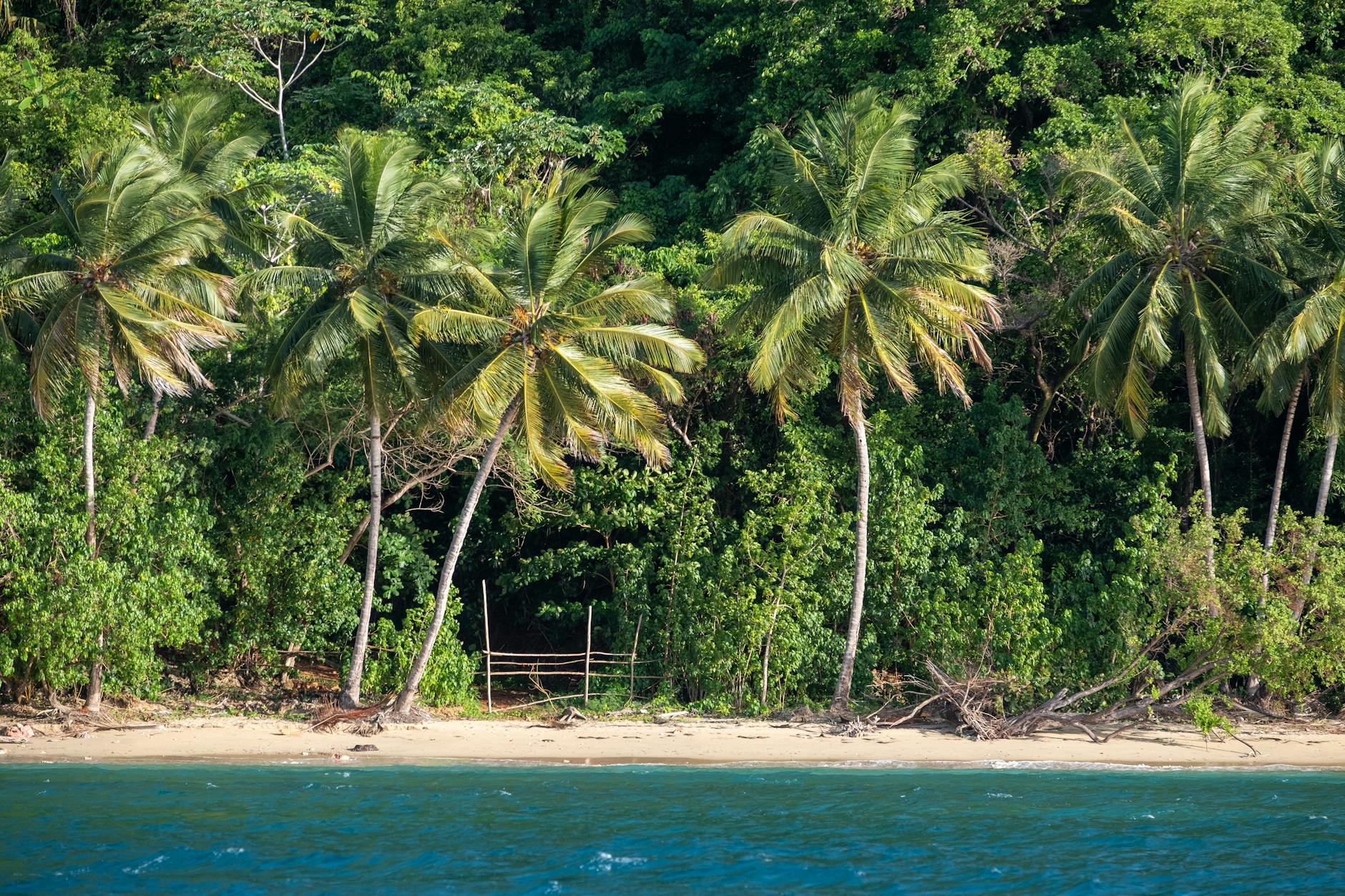 Hotels with Private Beach in Madagascar: Full Ranked Guide 2026 — Madagascar