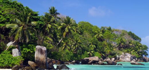 Madagascar - Île Sainte-Marie Whale Season: Best Viewing Spots July–September
