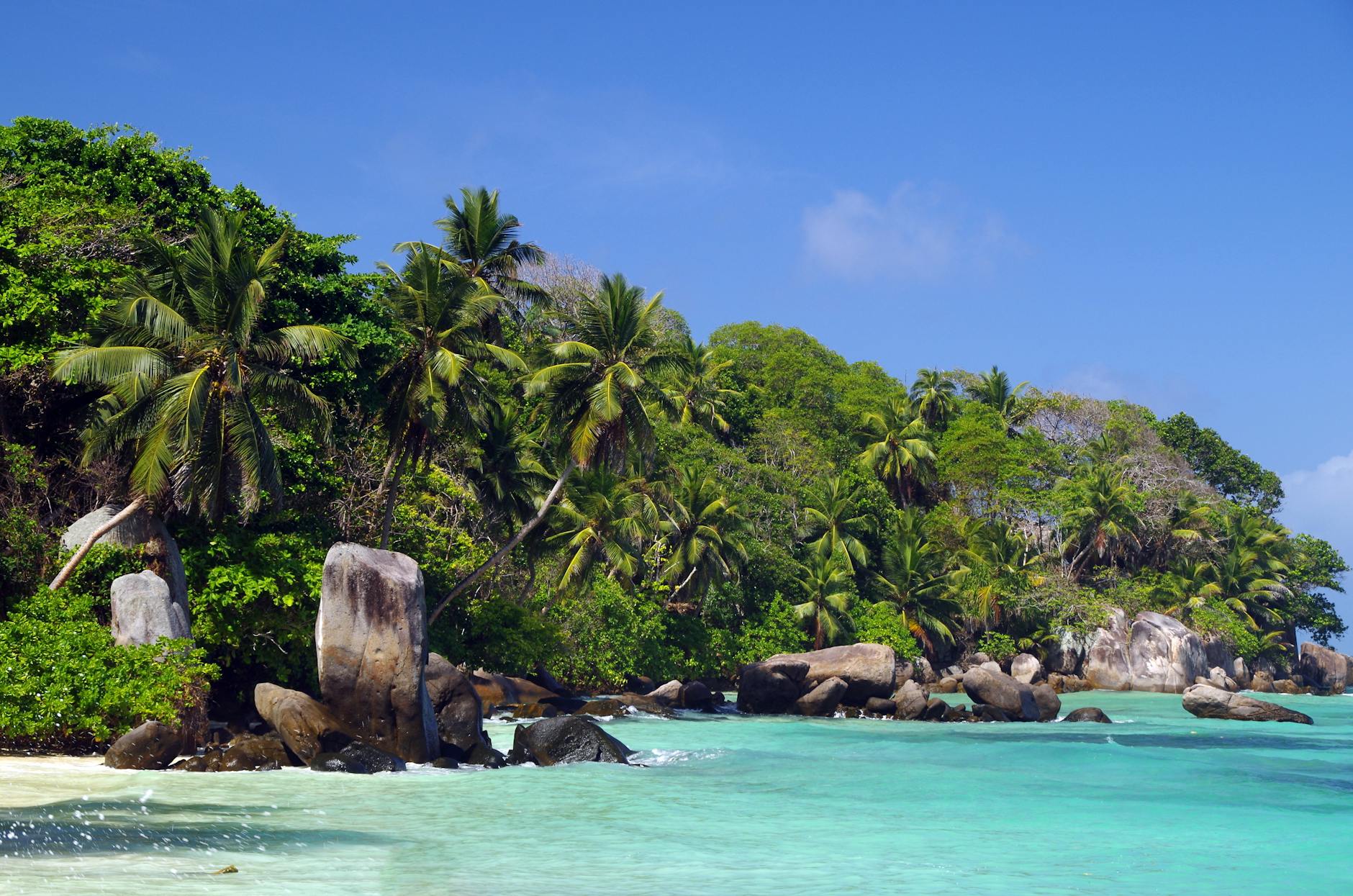 Île Sainte-Marie Whale Season: Best Viewing Spots July–September — Madagascar