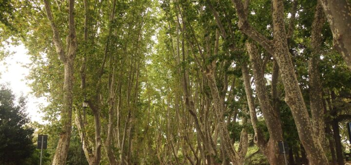 Madagascar - Luxury Madagascar Itinerary: 10 Days All-Inclusive 2026