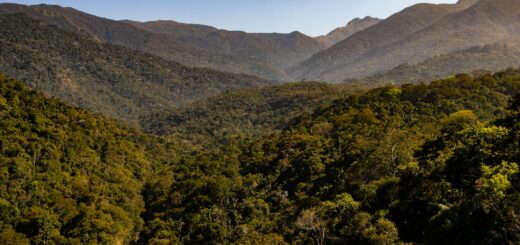 The Perfect 5-Day Majunga Itinerary: Beaches, Parks & Sunset Cruising — Madagascar