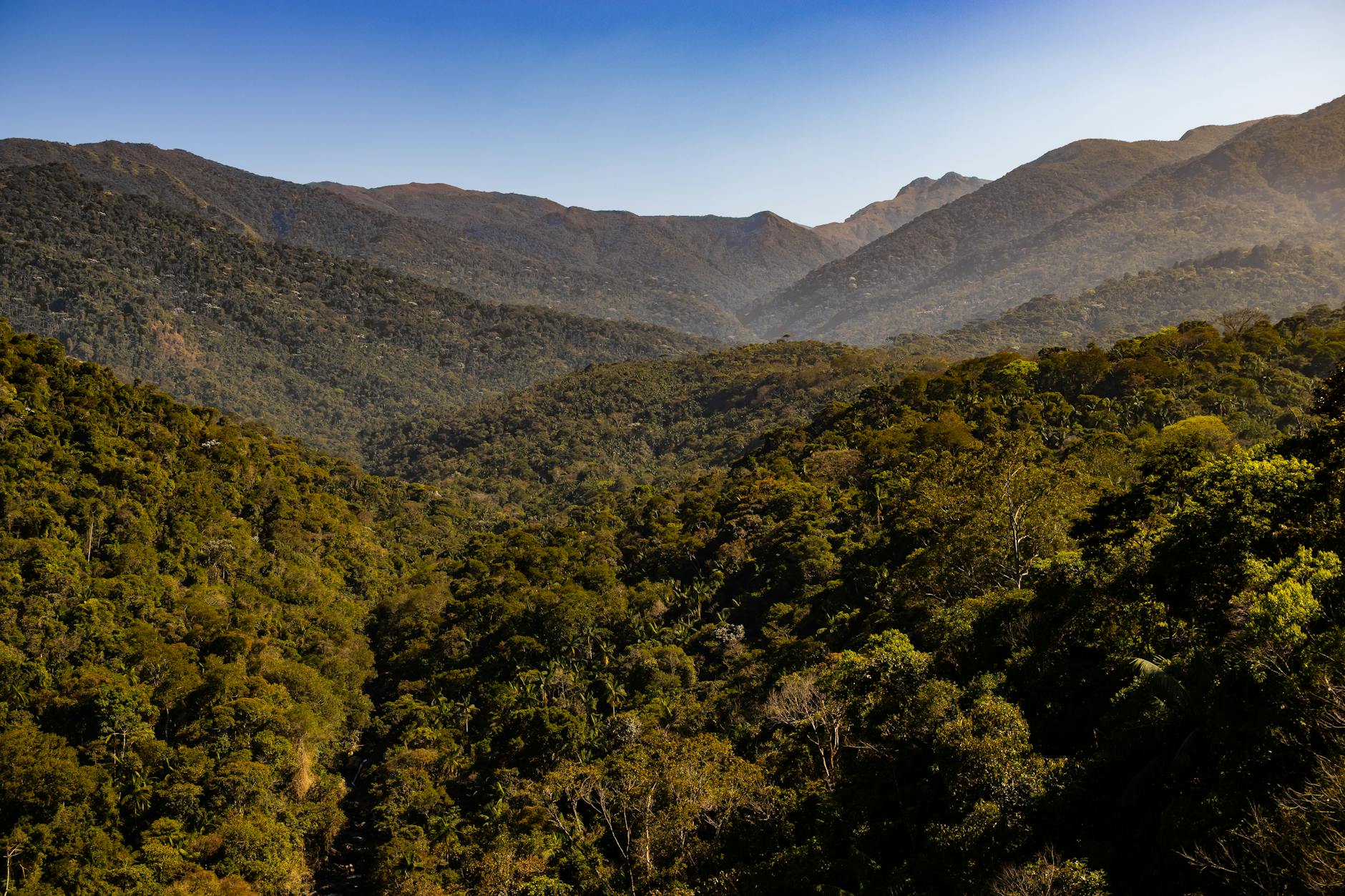 The Perfect 5-Day Majunga Itinerary: Beaches, Parks & Sunset Cruising — Madagascar