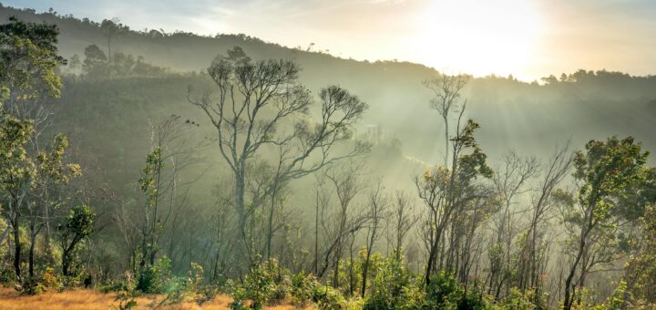 The Perfect 5-Day Majunga Itinerary: Beaches, Parks & Sunset Cruising — Madagascar