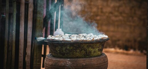 The 7 Best Restaurants in Tamatave: Where to Eat Fresh Seafood & Zebu — Madagascar