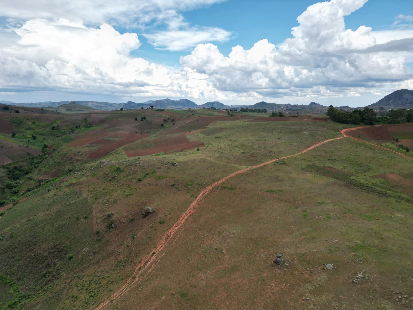 Madagascar Chocolate Guide: Single-Origin Cacao, Producers and Taste — Madagascar
