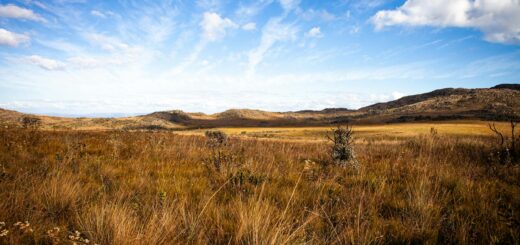 Diego Suarez (Antsiranana): The Ultimate Travel Guide to Madagascar's Northern Gem — Madagascar