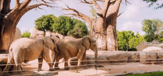 Diego Suarez Travel Itinerary (3 to 7 Days): The Perfect Northern Madagascar Plan — Madagascar