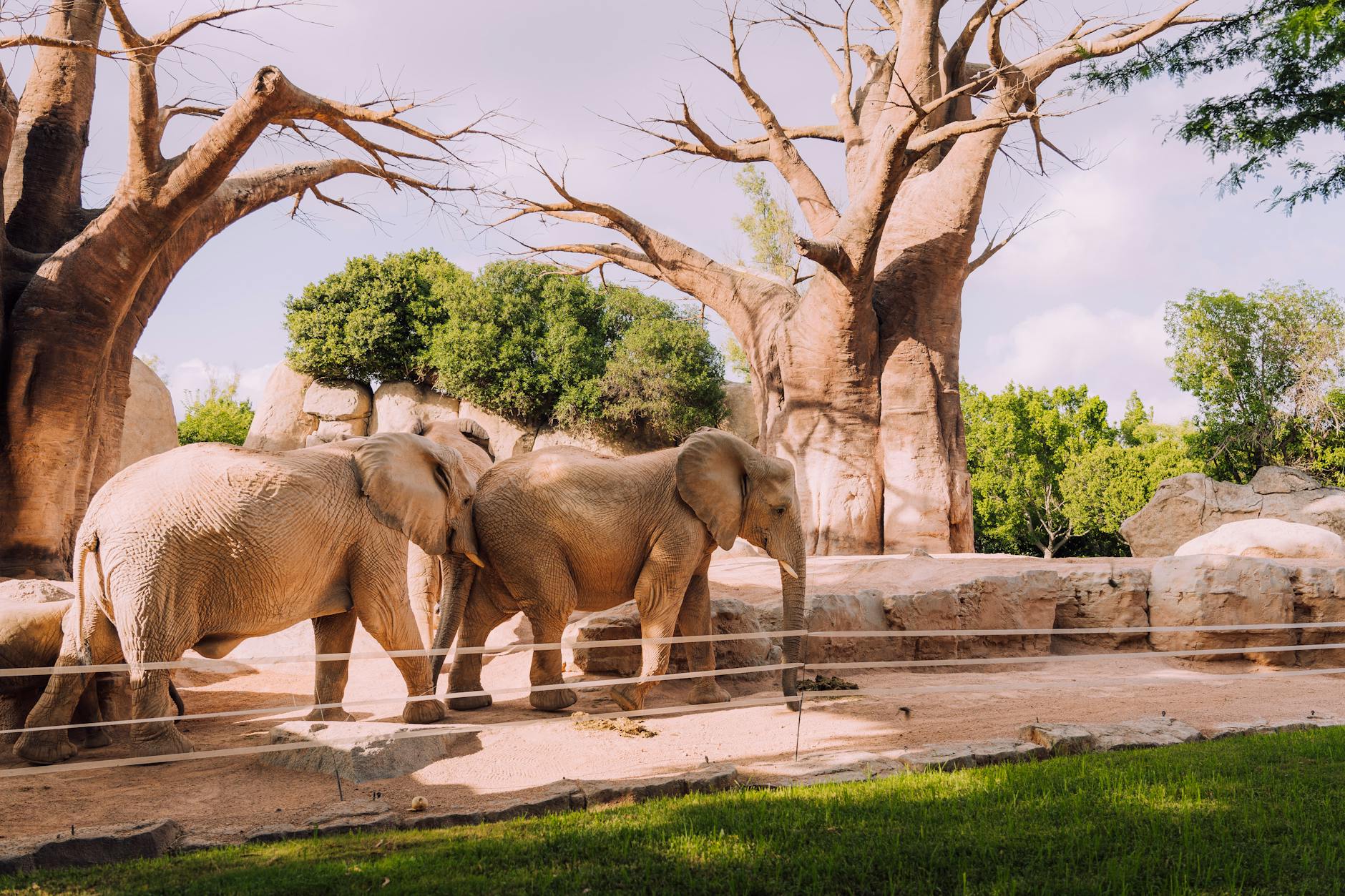 Diego Suarez Travel Itinerary (3 to 7 Days): The Perfect Northern Madagascar Plan — Madagascar
