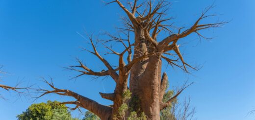 Diego Suarez Travel Itinerary (3 to 7 Days): The Perfect Northern Madagascar Plan — Madagascar