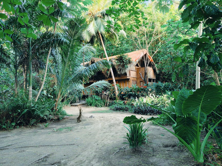 eco tourism lodges in madagascar sustainable travel at its best — Madagascar