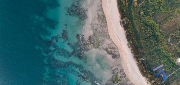 Madagascar - Madagascar Ecosystems: Rainforest, Dry Forest, Wetlands and Coral Reef