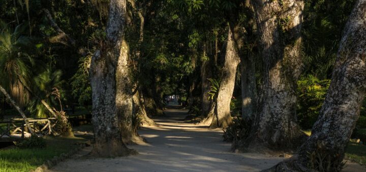 Madagascar - Madagascar Honeymoon Itinerary: 12 Days of Romance 2026