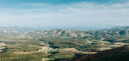 Is Fort Dauphin Safe for Solo Travelers? Current Advice & Logistics — Madagascar