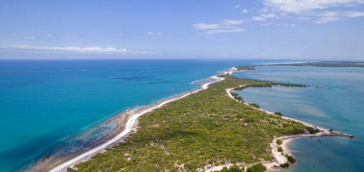 Madagascar - Madagascar Marine Life: Fish, Rays and What Divers Actually See
