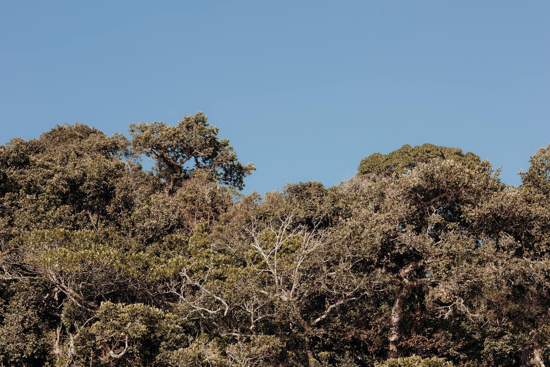 Madagascar National Parks Ranked: From Most Accessible to Most Remote — Madagascar