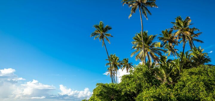 Madagascar - Madagascar North Itinerary: Diego Suarez, Ankarana and Nosy Be