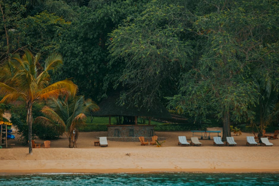 nosy be beach resorts guide les options de luxe et de budget pour votre escapade sur l'île de Madagascar - Madagascar