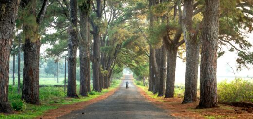 One Day in Ampefy: A Complete 24-Hour Itinerary from Tana — Madagascar